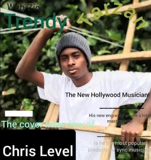 Chris Level: Biography, Net Worth, Facts, Family, Career And Height