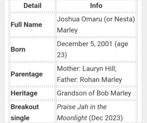 Joshua Omaru “YG” Marley (born December 5, 2001) is an American singer-songwriter and reggae artist—the son of Lauryn Hill and Rohan Marley